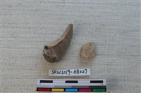 獸骨藏品圖，第1張