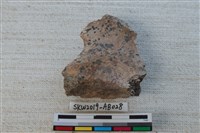 獸骨藏品圖，第1張