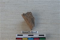 獸骨藏品圖，第3張