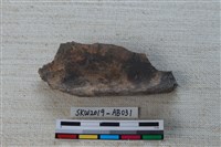 獸骨藏品圖，第2張