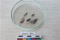 獸骨藏品圖，第4張