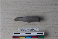 獸骨藏品圖，第1張