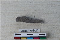 獸骨藏品圖，第2張