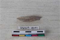 獸骨藏品圖，第2張