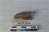 獸骨藏品圖，第1張