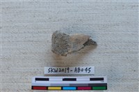 獸骨藏品圖，第1張