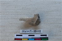 獸骨藏品圖，第2張