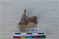 獸骨藏品圖，第1張