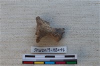 獸骨藏品圖，第2張