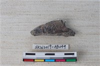 獸骨藏品圖，第2張