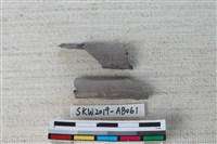 獸骨藏品圖，第1張