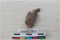 獸骨藏品圖，第1張