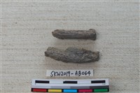 獸骨藏品圖，第2張