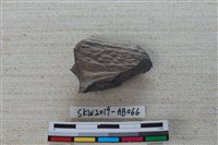 獸骨藏品圖，第2張