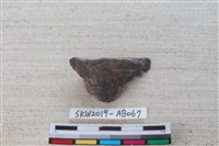 魚骨藏品圖，第1張