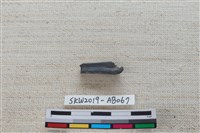 魚骨藏品圖，第4張