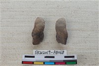 魚骨藏品圖，第1張