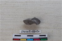 魚骨藏品圖，第1張