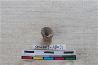 魚骨藏品圖，第1張