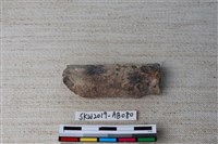 獸骨藏品圖，第1張