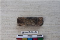 獸骨藏品圖，第2張