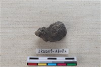 獸骨藏品圖，第2張