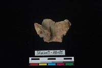 獸骨藏品圖，第2張