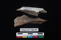 獸骨藏品圖，第2張