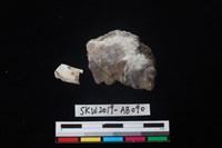 獸骨藏品圖，第1張