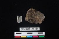 獸骨藏品圖，第2張