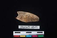 獸骨藏品圖，第1張