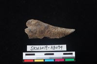 獸骨藏品圖，第1張