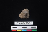 獸骨藏品圖，第1張