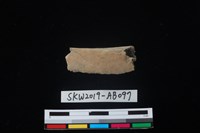 獸骨藏品圖，第2張