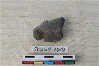 獸骨藏品圖，第1張