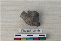 獸骨藏品圖，第2張