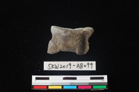 獸骨藏品圖，第2張