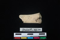 獸骨藏品圖，第1張