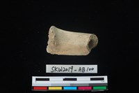 獸骨藏品圖，第2張