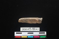 獸骨藏品圖，第1張