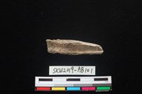 獸骨藏品圖，第2張