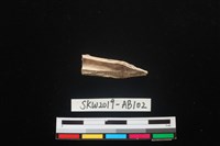 獸骨藏品圖，第2張