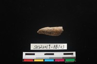 獸骨藏品圖，第1張