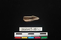 獸骨藏品圖，第2張