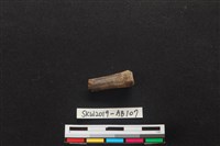 獸骨藏品圖，第1張