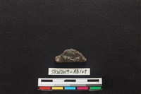 獸骨藏品圖，第2張