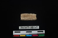 獸骨藏品圖，第2張