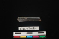 獸骨藏品圖，第1張