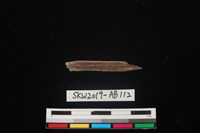 獸骨藏品圖，第2張