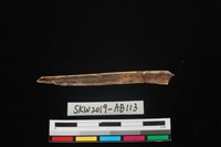 獸骨藏品圖，第2張